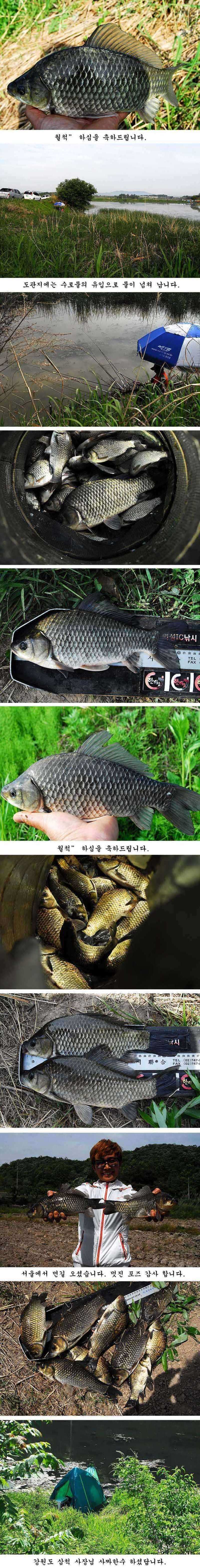 pro_johwang_04250871.jpg