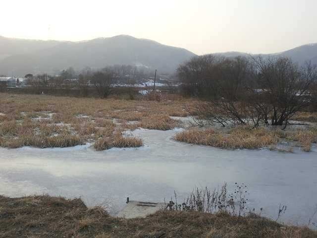 pro_johwang_04290928.jpg