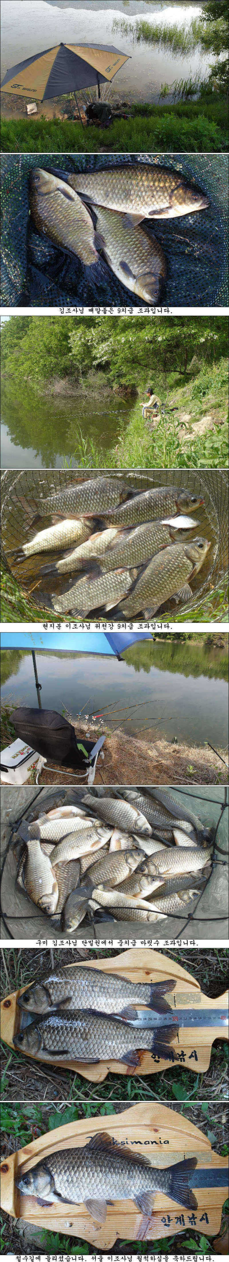pro_johwang_04312420.jpg