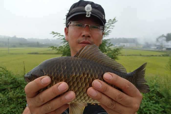 pro_johwang_05004441.jpg