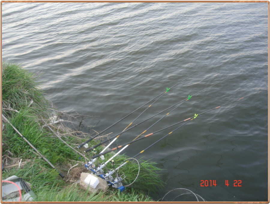pro_johwang_05011217.jpg