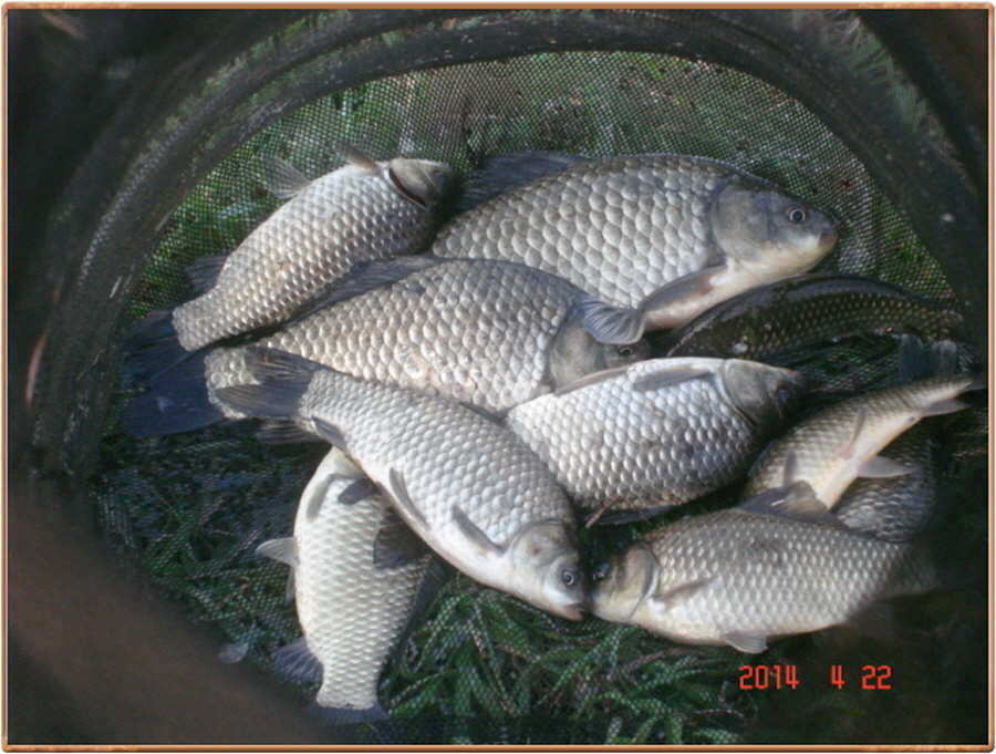 pro_johwang_05020359.jpg
