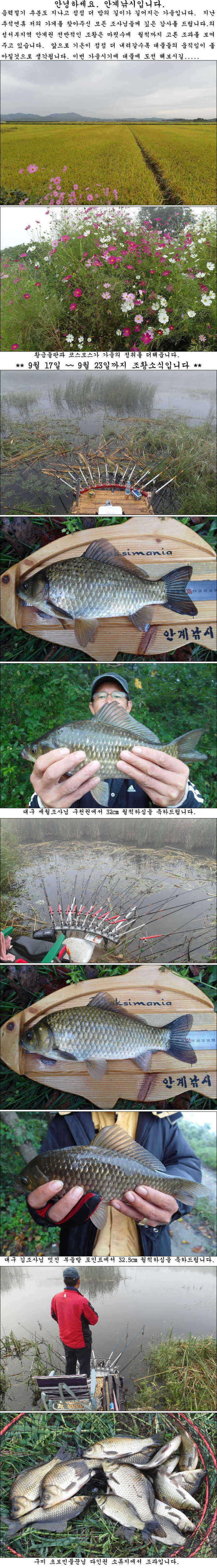 pro_johwang_05023678.jpg