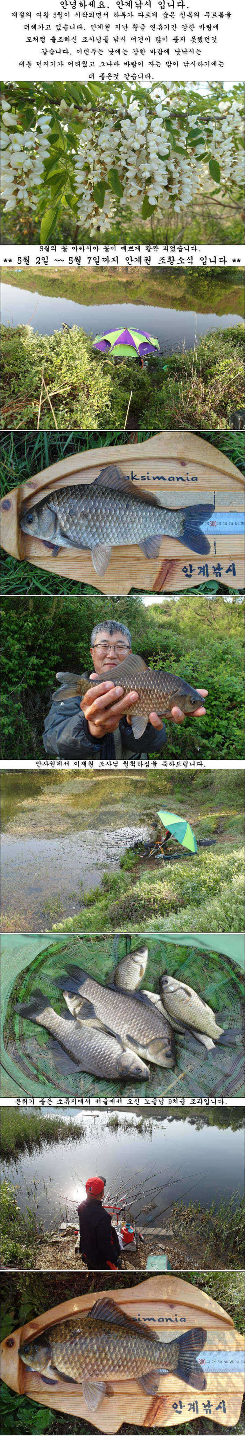 pro_johwang_0503024.jpg