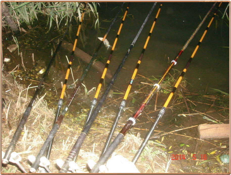 pro_johwang_05074481.jpg