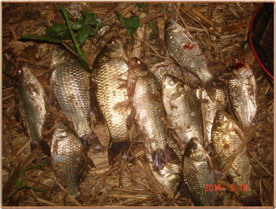 pro_johwang_05081282.jpg