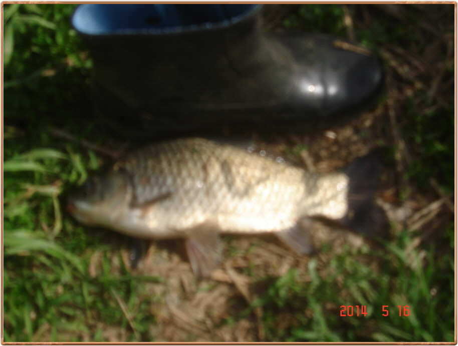pro_johwang_05114355.jpg