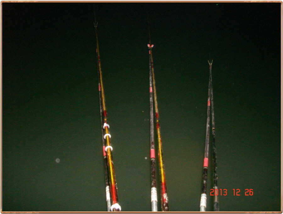 pro_johwang_05354363.jpg