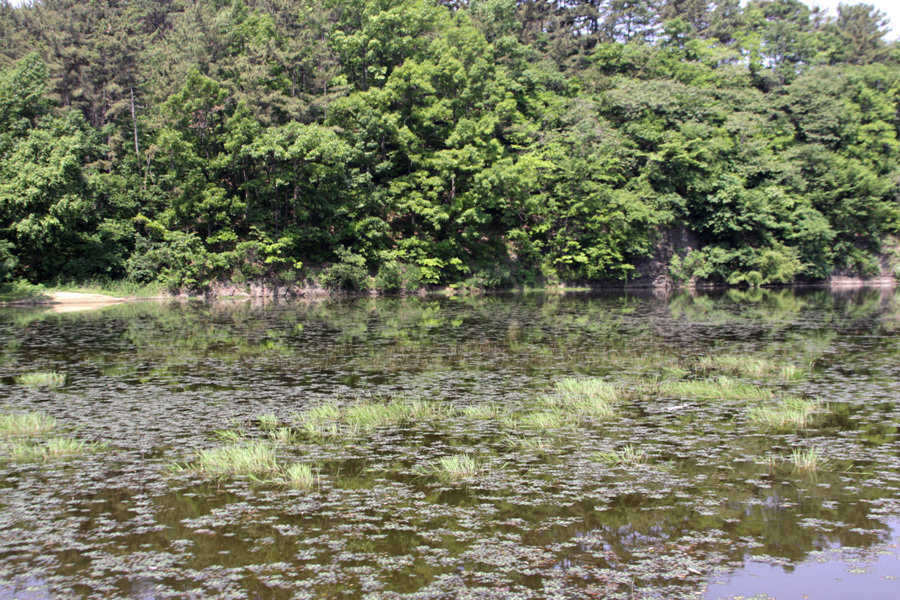 pro_johwang_05450620.jpg