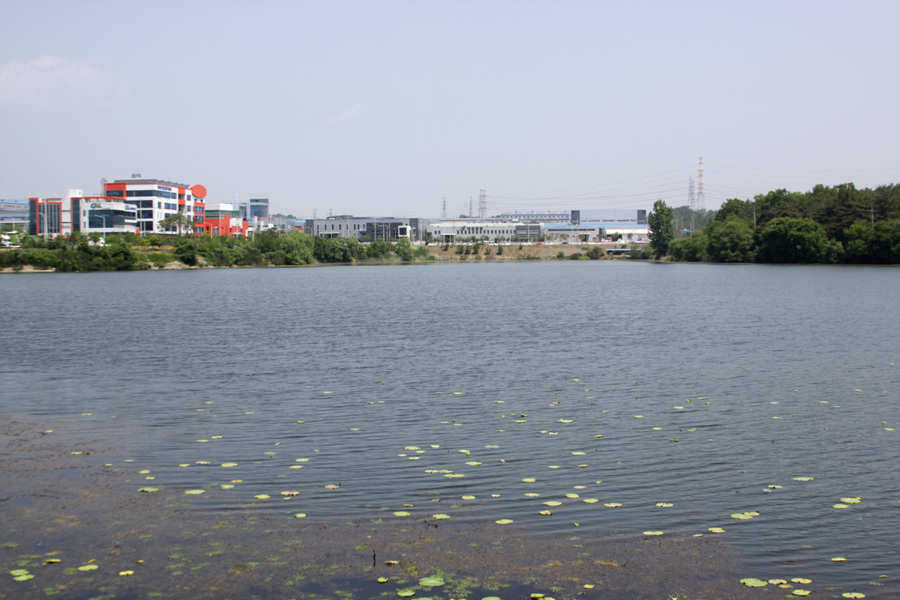 pro_johwang_05492757.jpg
