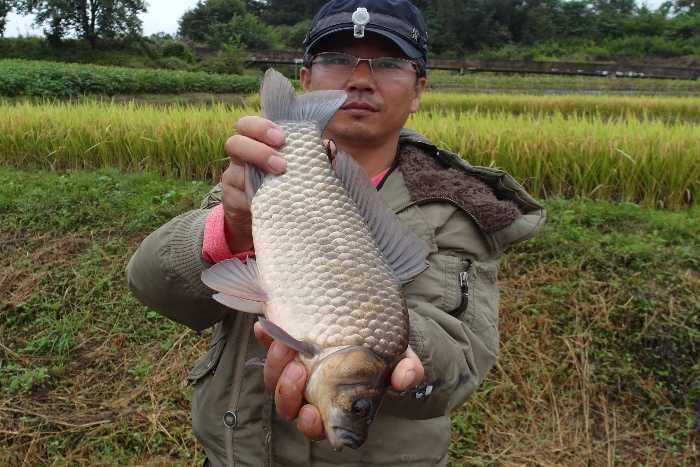 pro_johwang_05501638.jpg