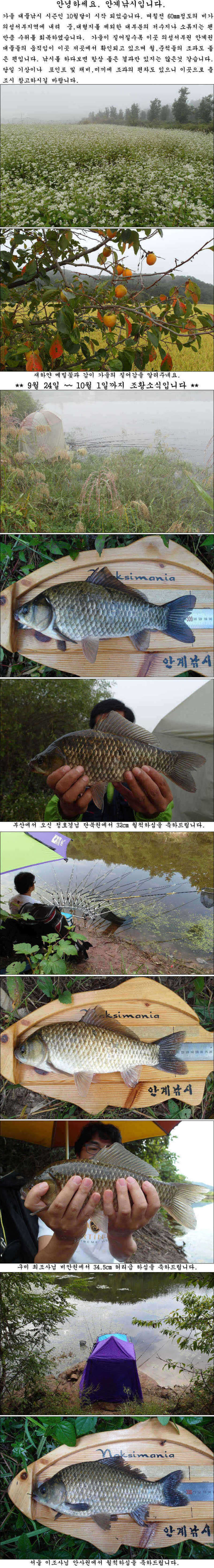pro_johwang_05530261.jpg