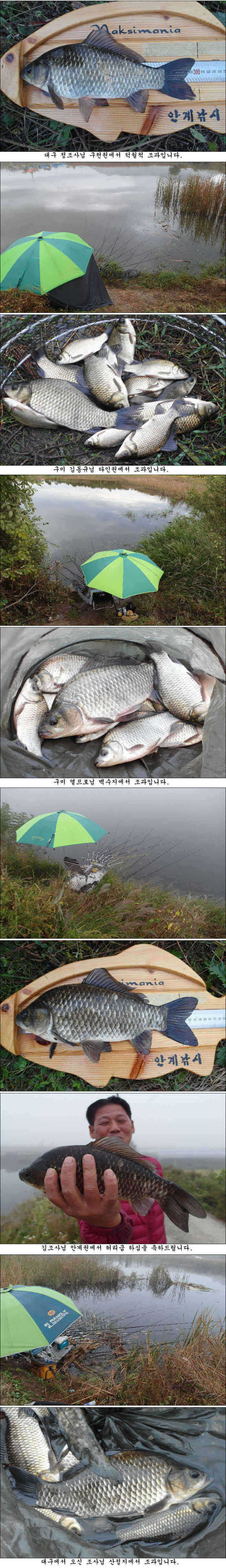 pro_johwang_06102798.jpg