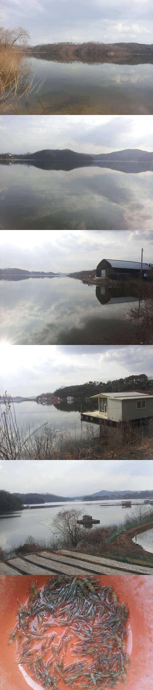pro_johwang_07181861.jpg