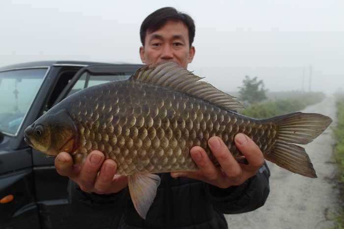 pro_johwang_07480145.jpg