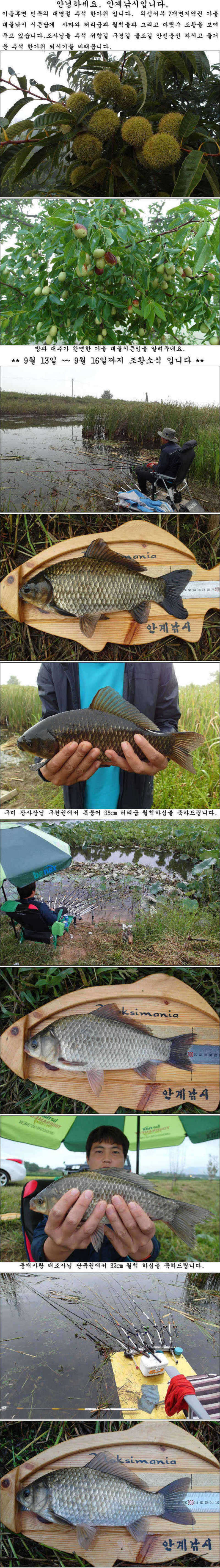 pro_johwang_07503355.jpg