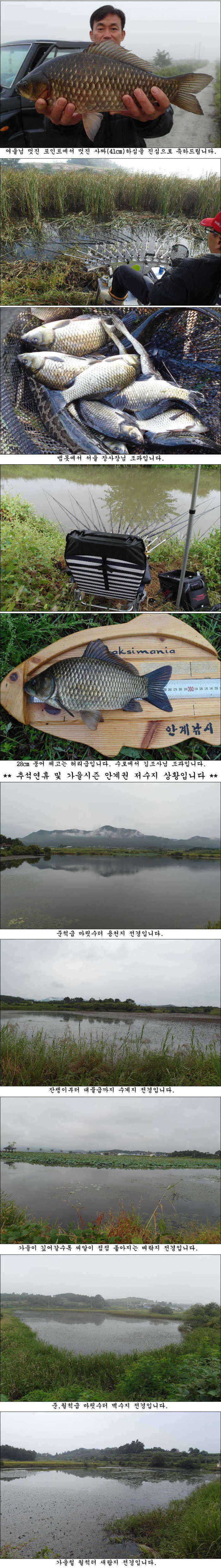 pro_johwang_0751281.jpg