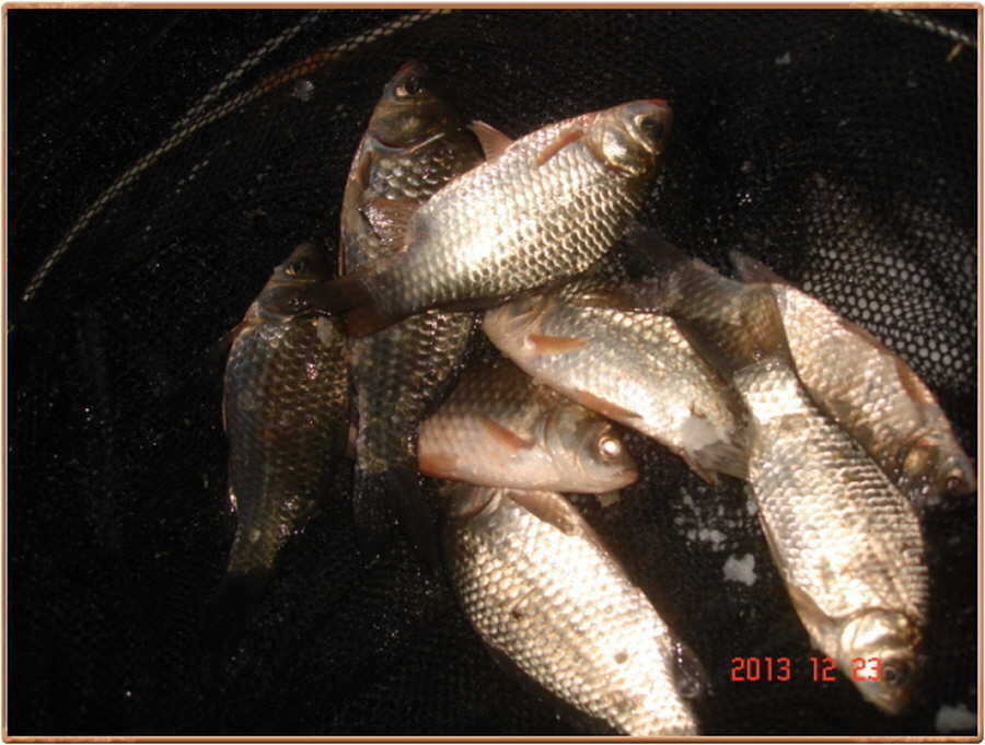 pro_johwang_08014918.jpg