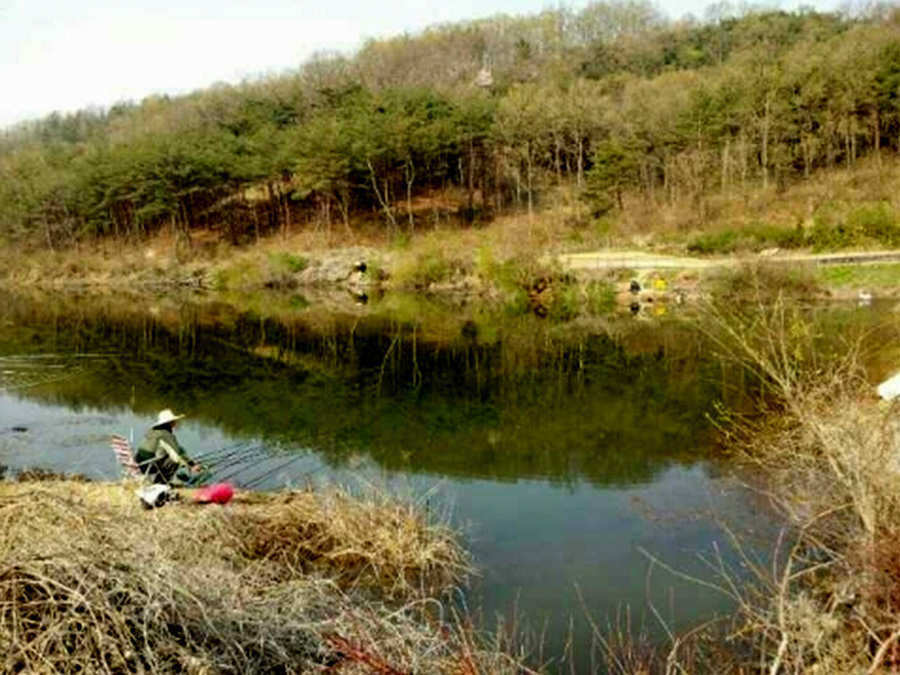 pro_johwang_08030033.jpg