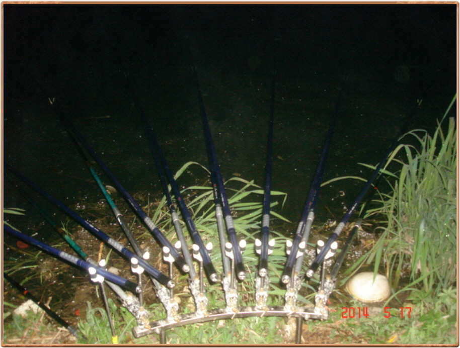 pro_johwang_08070760.jpg