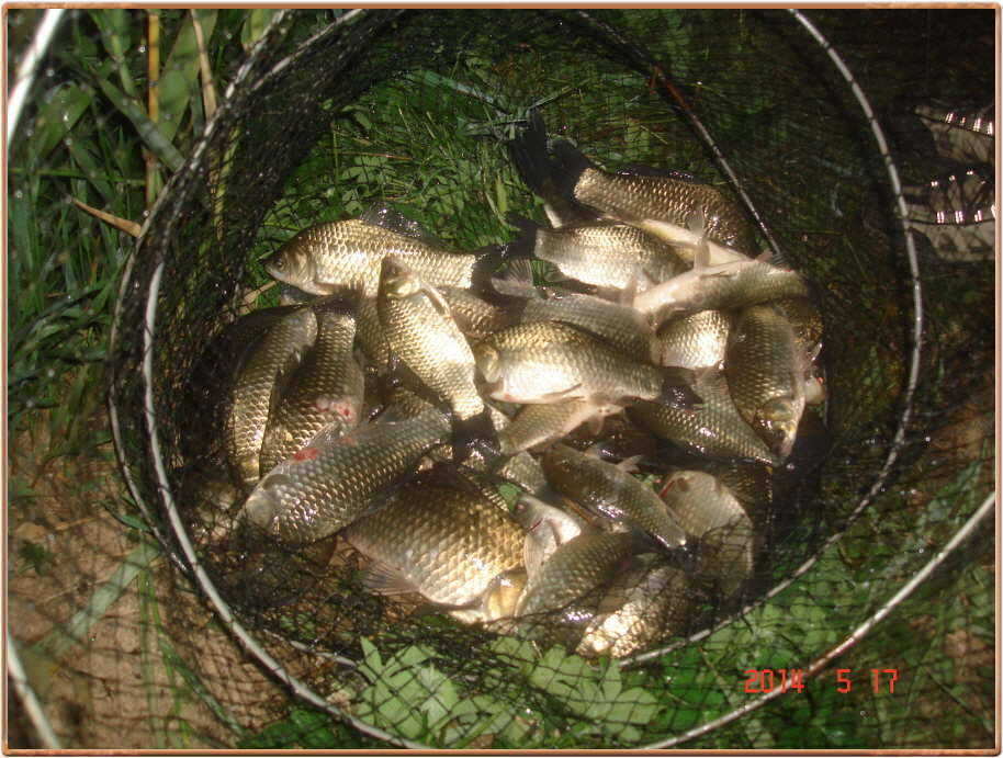 pro_johwang_08074948.jpg
