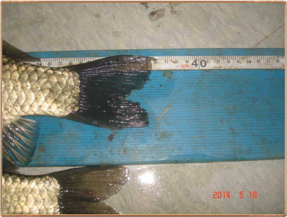 pro_johwang_08101624.jpg