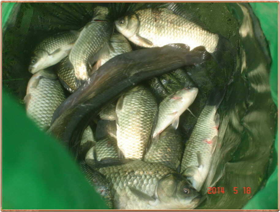 pro_johwang_08105210.jpg