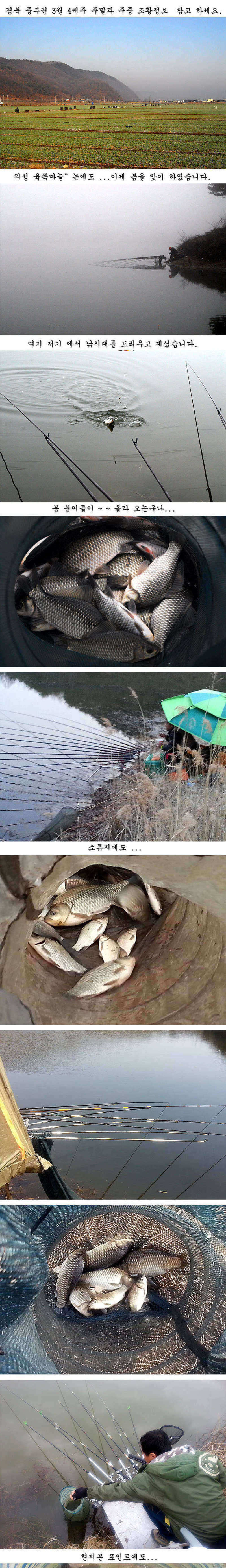 pro_johwang_08140716.jpg