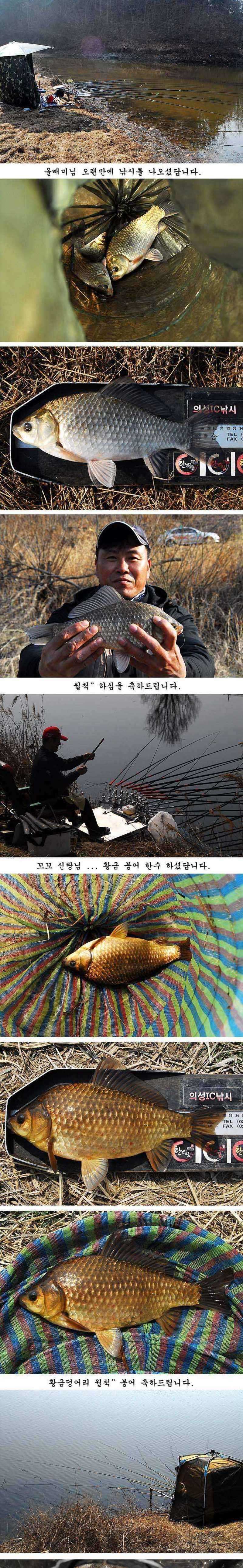 pro_johwang_08142712.jpg