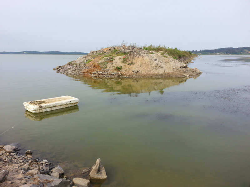 pro_johwang_08145319.jpg