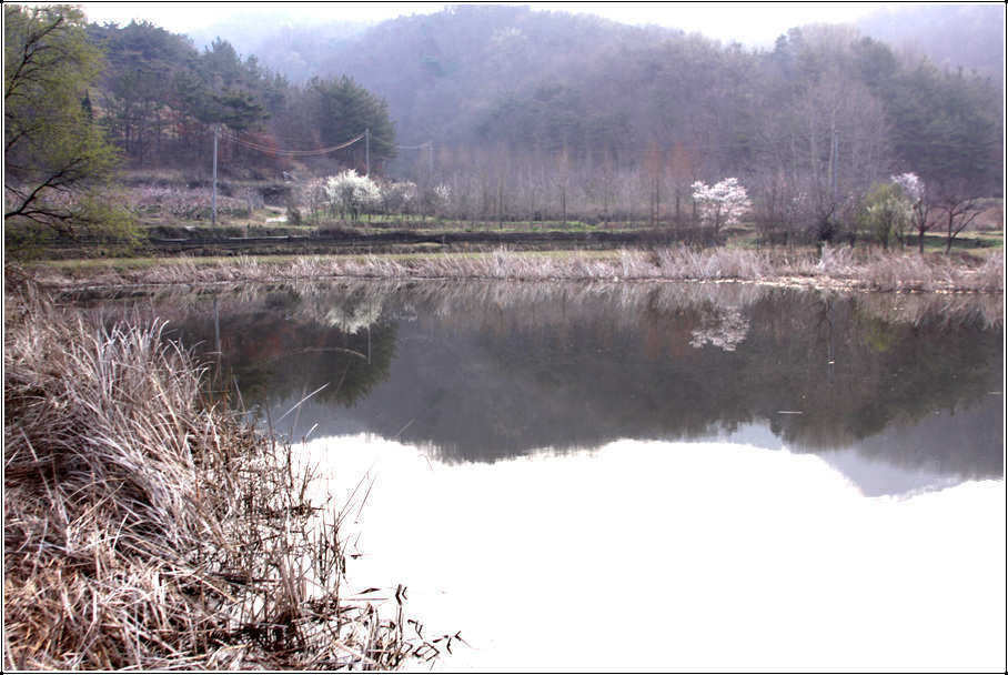 pro_johwang_08445034.jpg