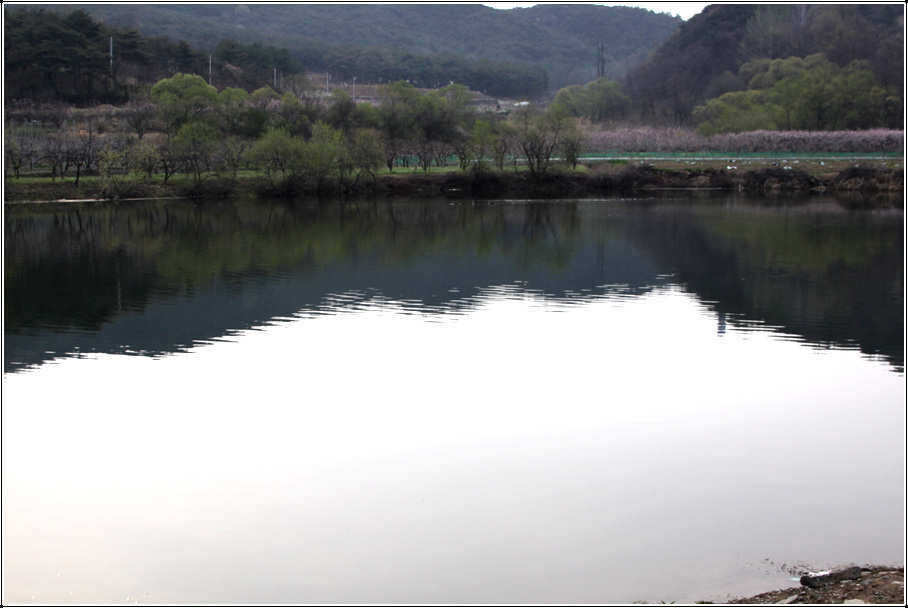 pro_johwang_0845168.jpg