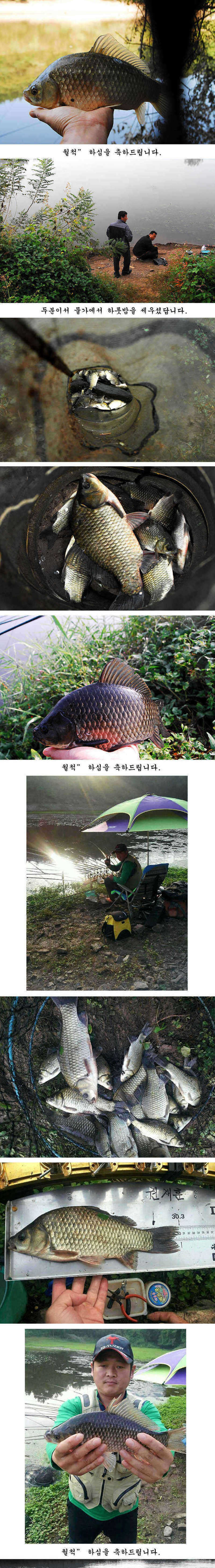 pro_johwang_08472316.jpg