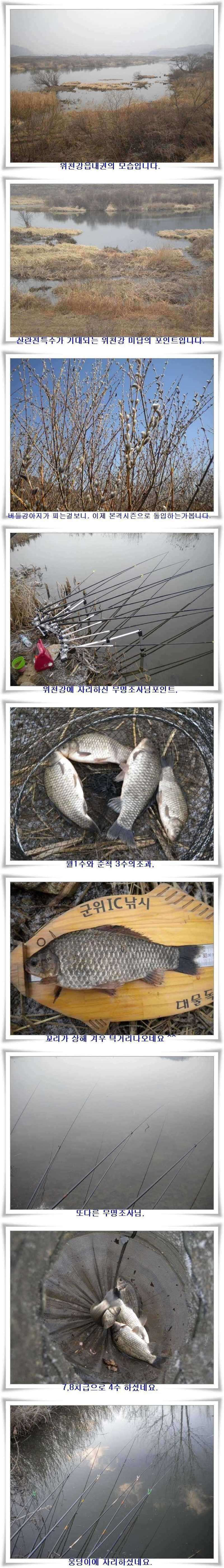 pro_johwang_08504191.jpg