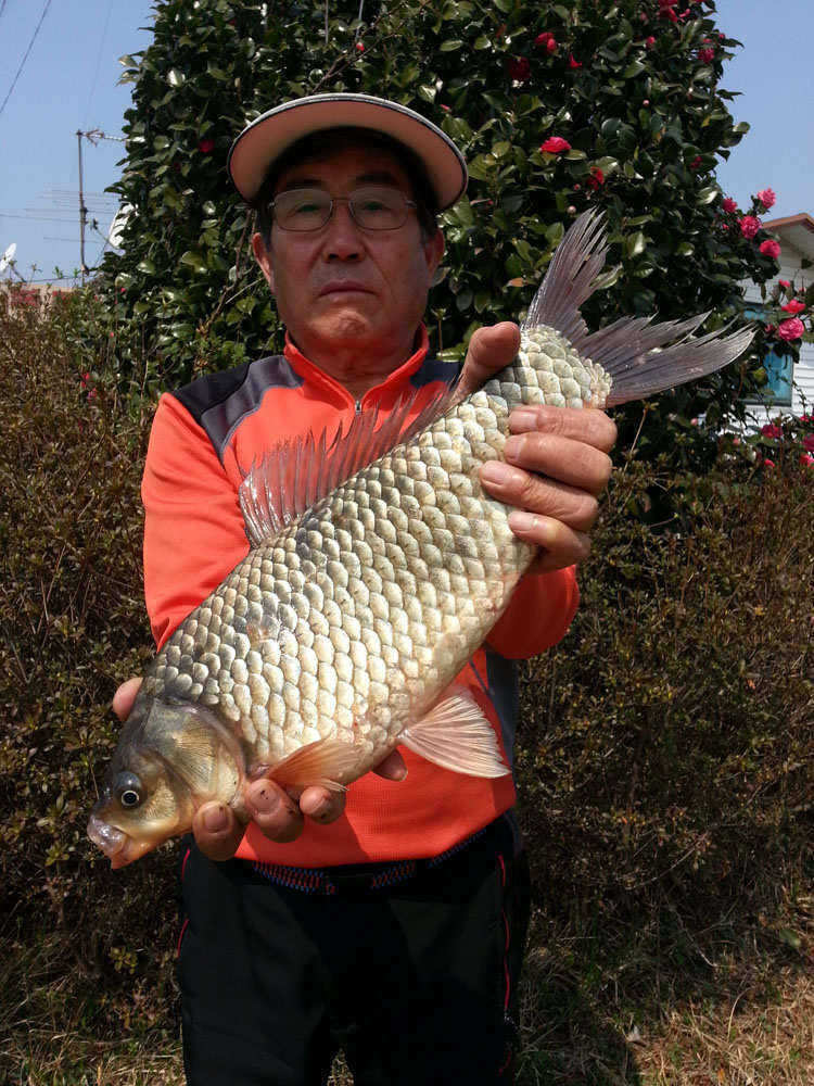 pro_johwang_08561155.jpg