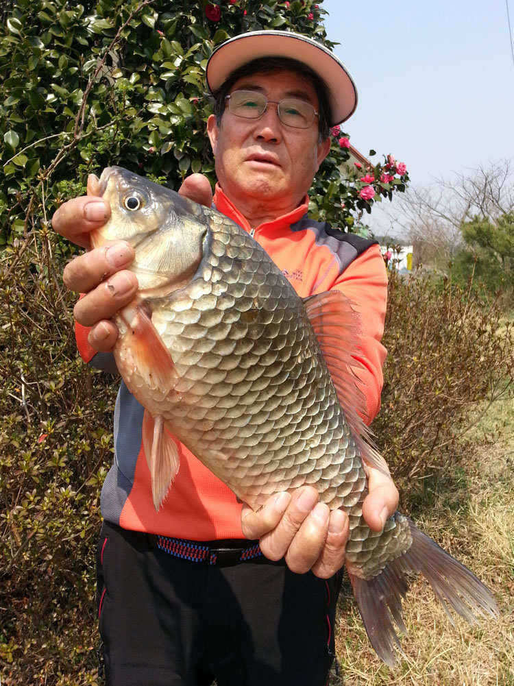 pro_johwang_08562251.jpg
