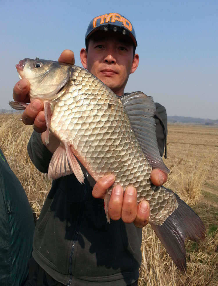 pro_johwang_08580275.jpg