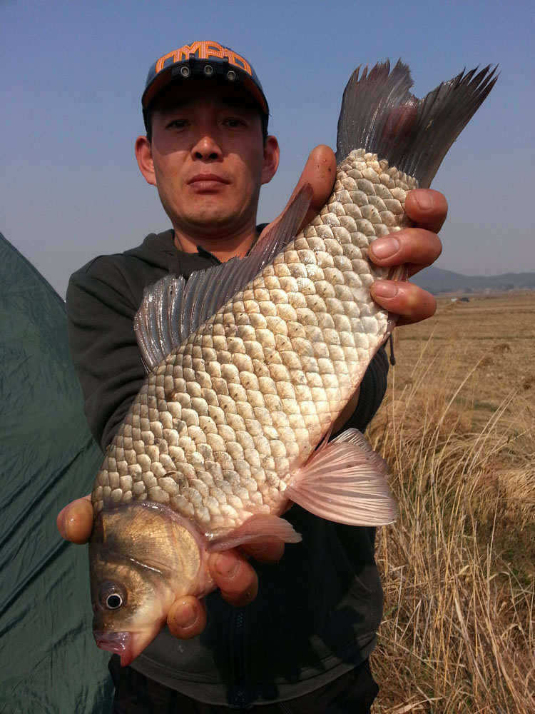 pro_johwang_08581142.jpg