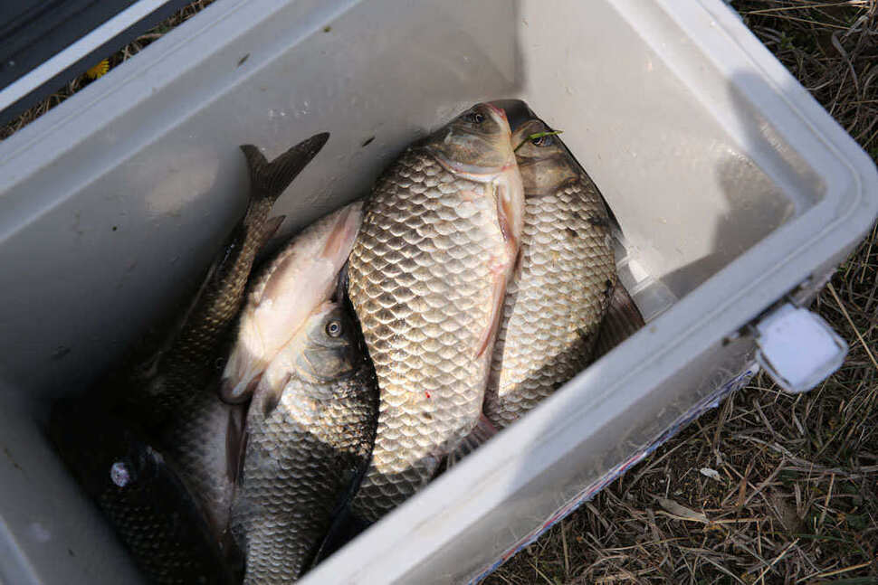 pro_johwang_09014012.jpg