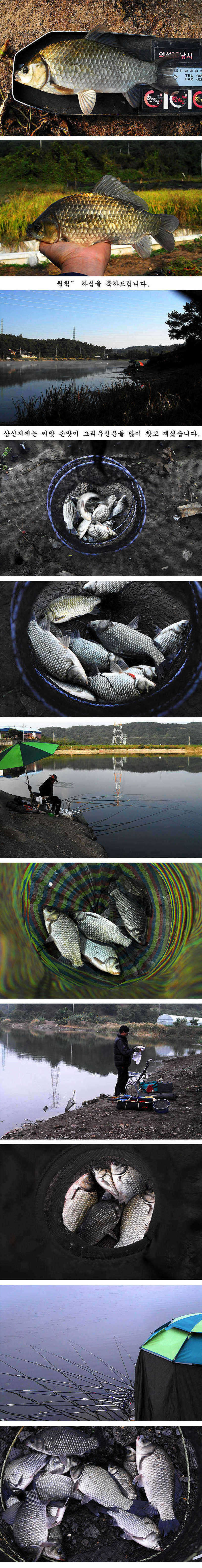 pro_johwang_09051645.jpg