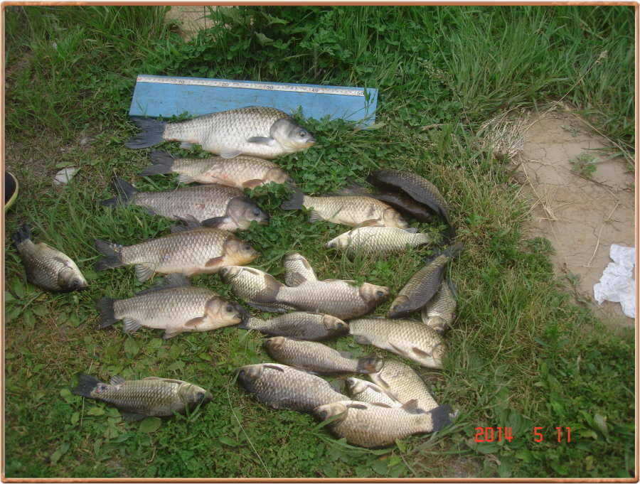pro_johwang_0905316.jpg