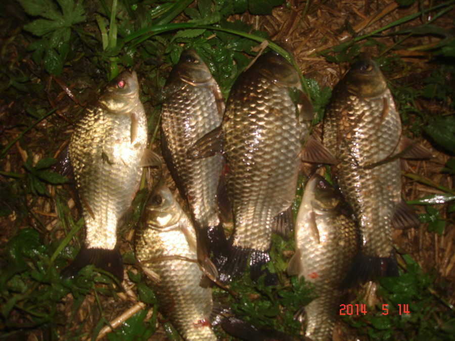 pro_johwang_09075860.jpg