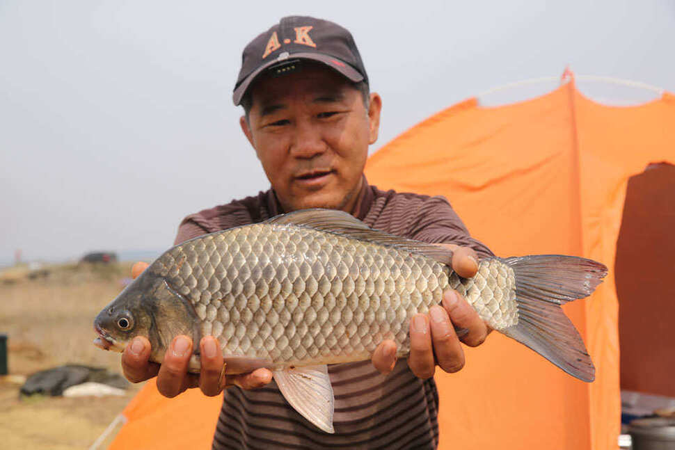 pro_johwang_09082016.jpg