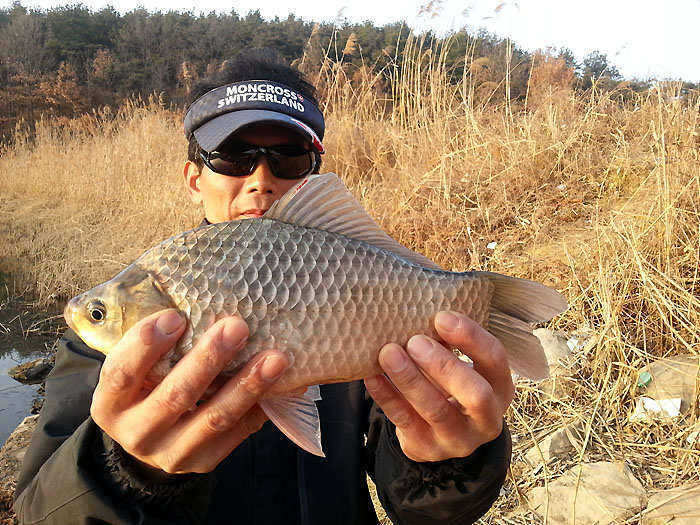 pro_johwang_09085833.jpg