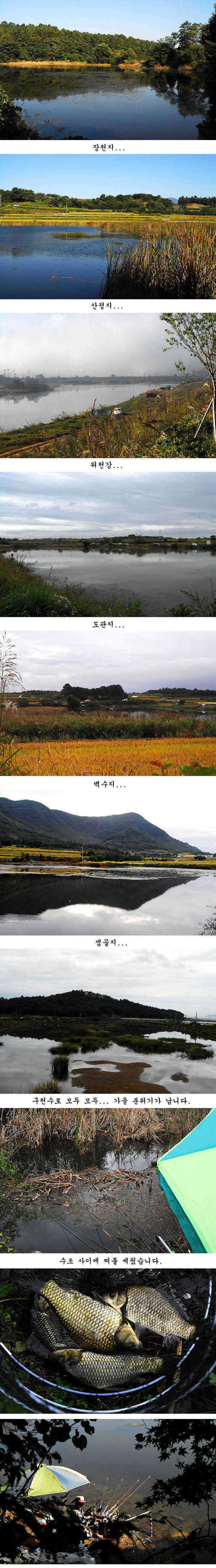 pro_johwang_09093430.jpg