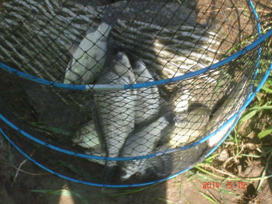pro_johwang_09093745.jpg