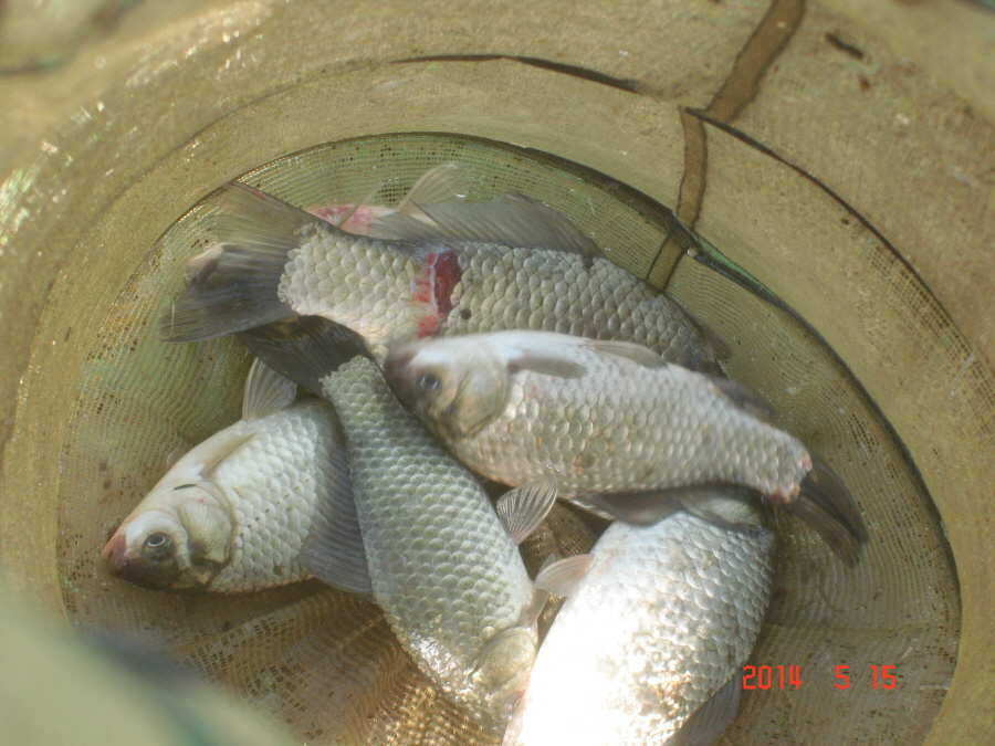 pro_johwang_09105173.jpg