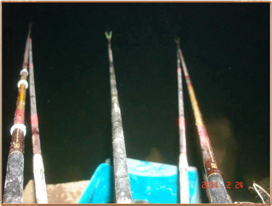 pro_johwang_09183519.jpg