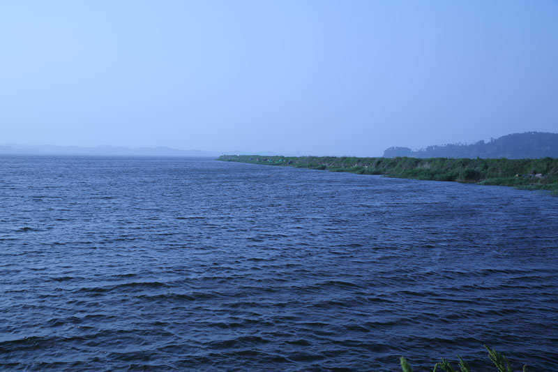 pro_johwang_09250299.jpg
