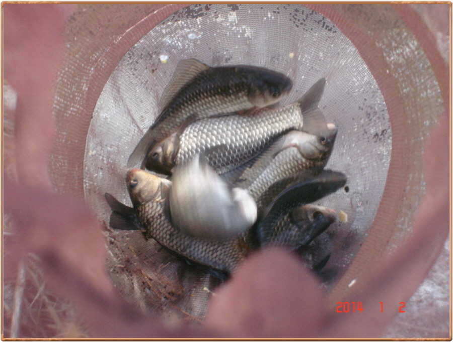 pro_johwang_0931124.jpg
